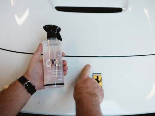 Płyn na owady Pureest B1 Bug Remover kanister 5L.jpg