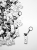 breloczek-pure-est-hydrophobic-shampoo-gadzet-detailingowy.jpg